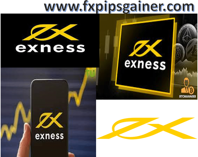 Maximize Your Trades with Exness Trading Calculator